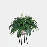 Premium 47-Inch Artificial Boston Fern plant