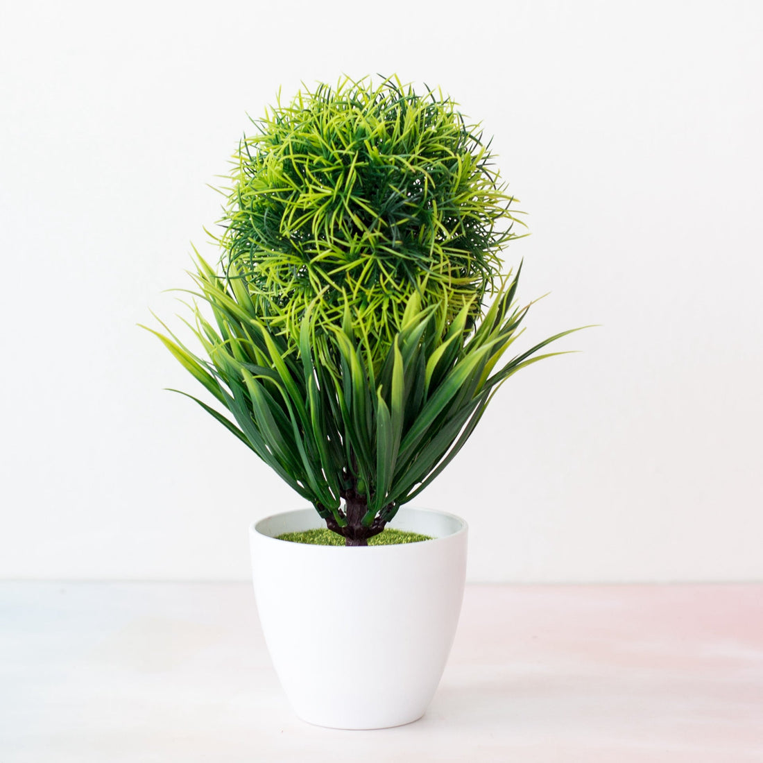 Plant Pot