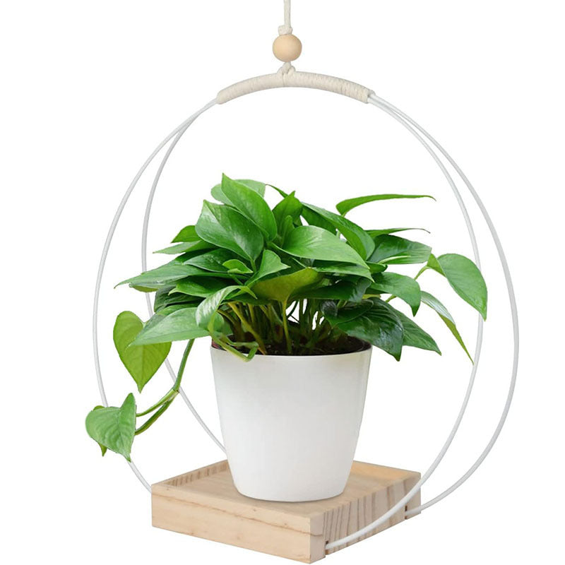 Hanging Pot
